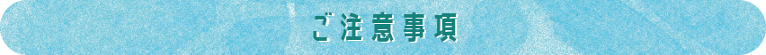 ご注意事項