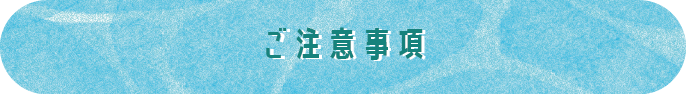 ご注意事項