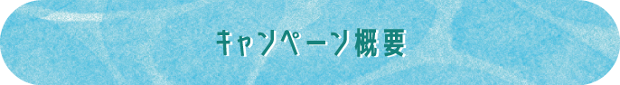 キャンペーン概要