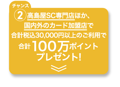 高島屋以外で合計税込30,000円以上のご利用で合計100万ポイントプレゼント!