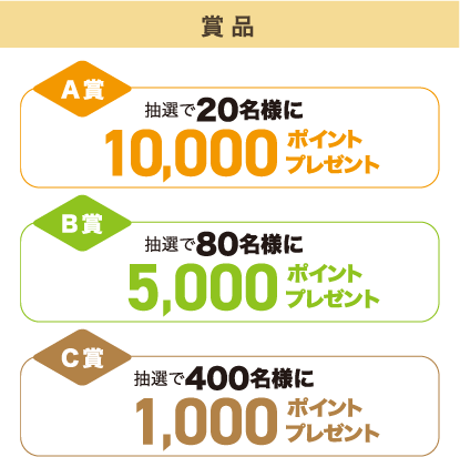 賞品 A賞 抽選で20名様に10,000ポイントプレゼント B賞 抽選で80名様に5,000ポイントプレゼント C賞 抽選で400名様に1,000ポイントプレゼント